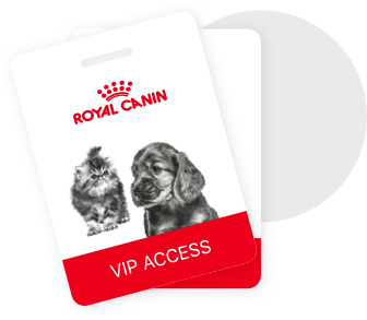 My Royal Canin